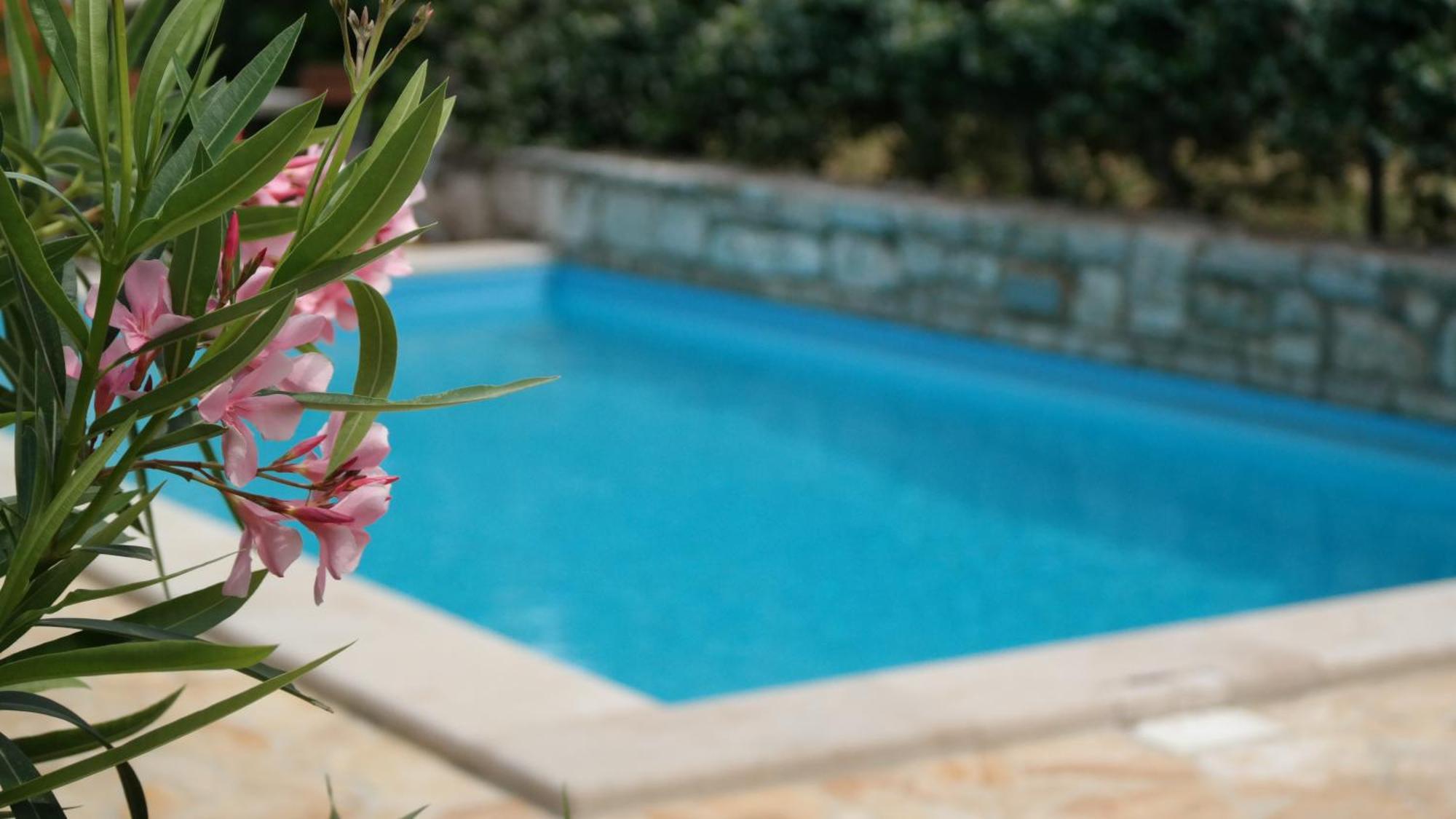 Terra Mirna Villa Vizinada Bagian luar foto