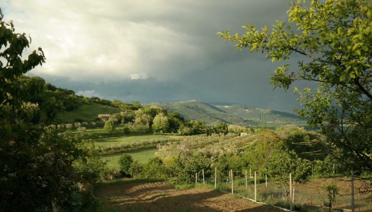 Terra Mirna Villa Vizinada Bagian luar foto