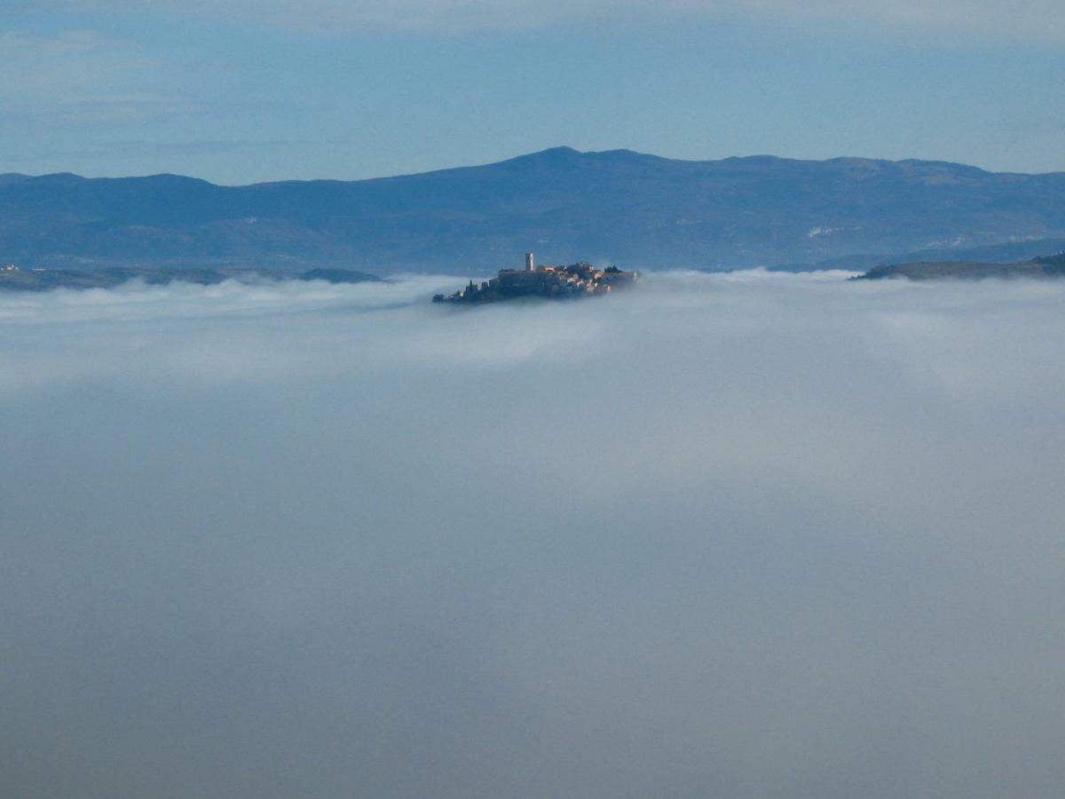 Terra Mirna Villa Vizinada Bagian luar foto