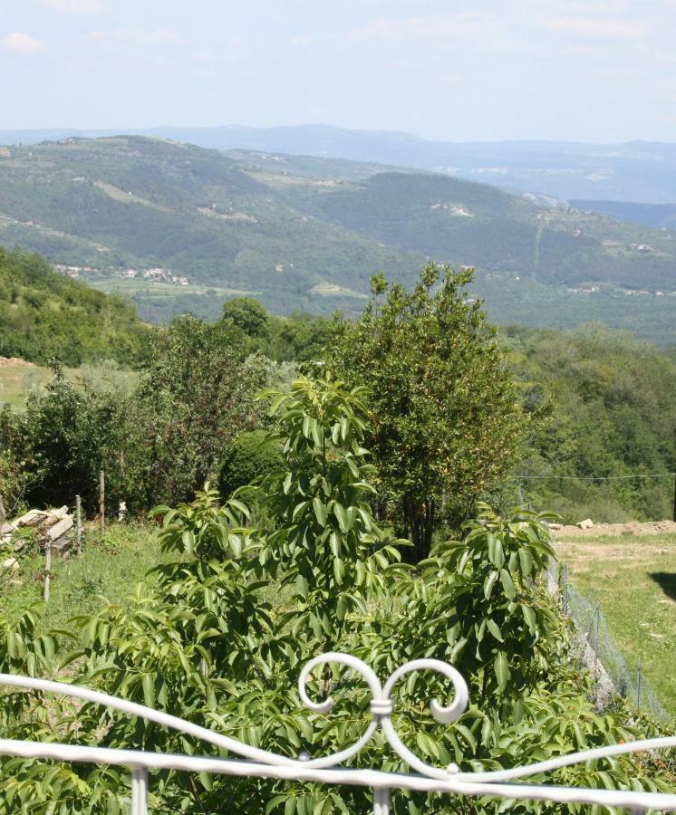 Terra Mirna Villa Vizinada Bagian luar foto